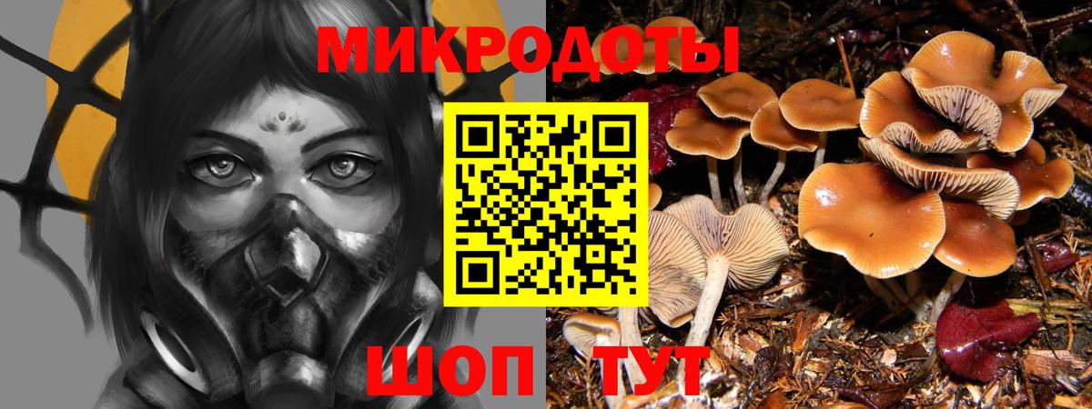 Псилоцибиновые грибы Psilocybe  Псилоцибиновые грибы мицелий  купить наркотик  Волгоград  Вход с VPN 